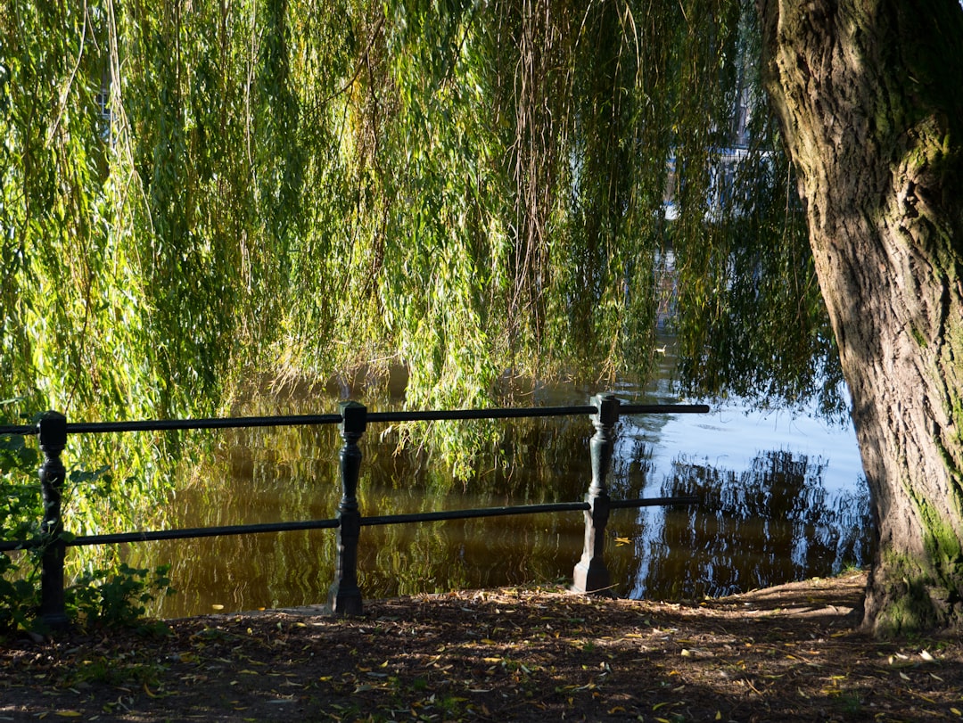 Quels secrets cachent les parcs naturels et comment les découvrir ?